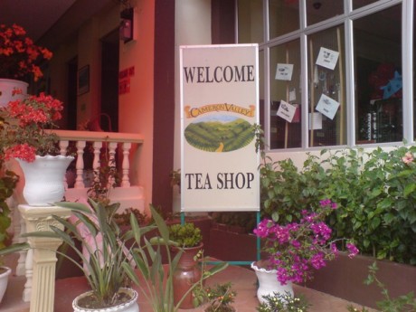Tringkap Cameron Valley Tea Shop